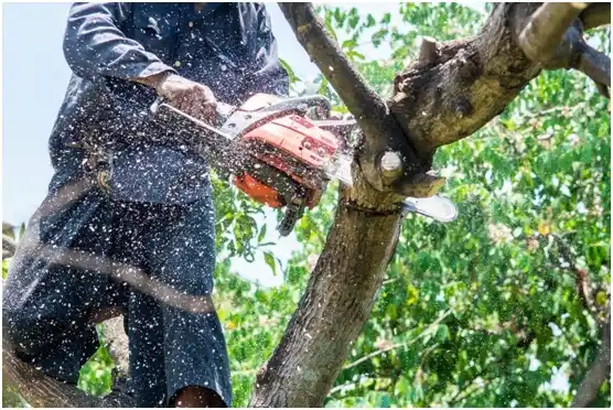 tree services Pullman